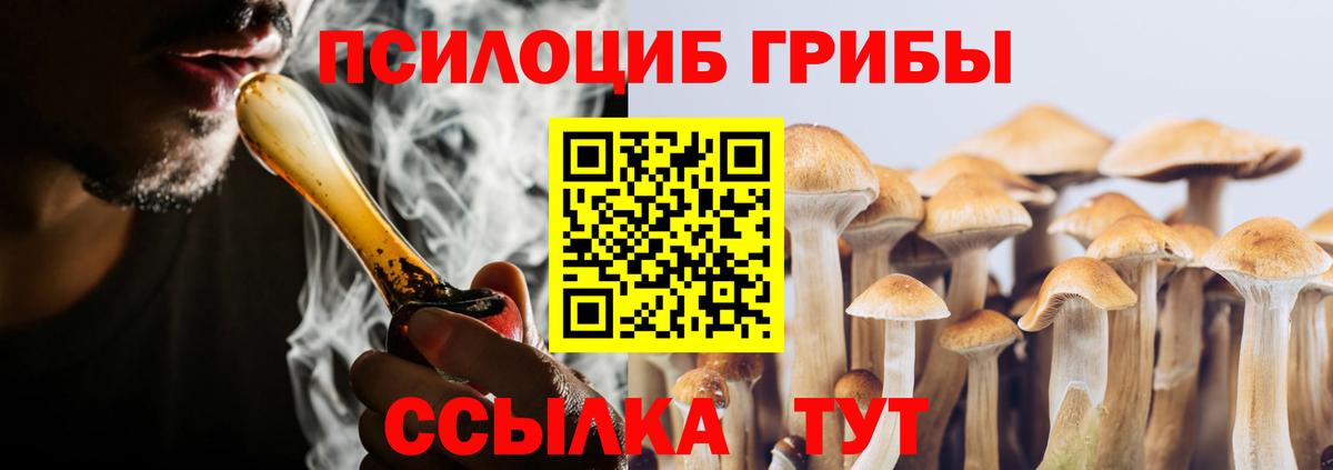 Галлюциногенные грибы прущие грибы  Владивосток 