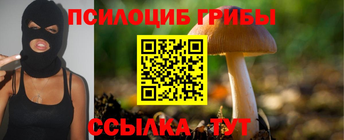 купить  сайты  Псилоцибиновые грибы Psilocybe  Вход с VPN  Владивосток 